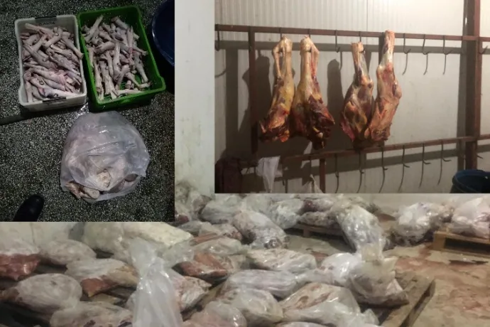 Jandarmadan yem fabrikasında ruhsatsız et üretimine baskın