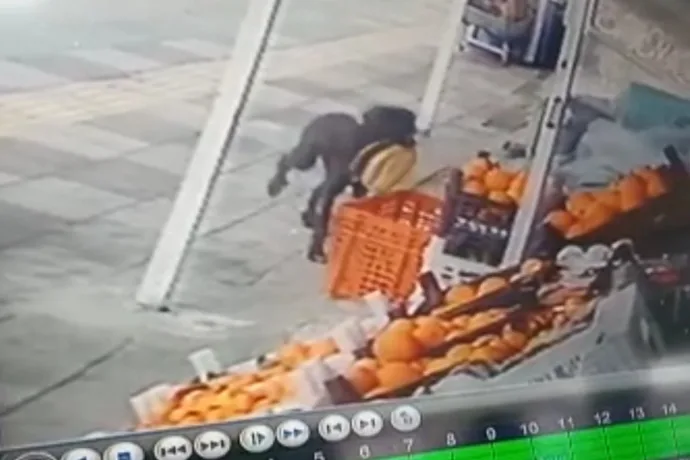 HERGÜN 1 EKMEK EKSİK BULUYORDU AMA DURUM ÇOK FARKLI ÇIKTI video