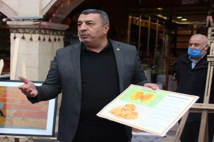 Özcan, Kayısının gelişim sürecini anlattı