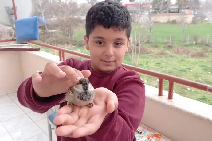 Soğuktan Üşüyen Minik Serçe Ömer'in Avuçlarında Isındı video