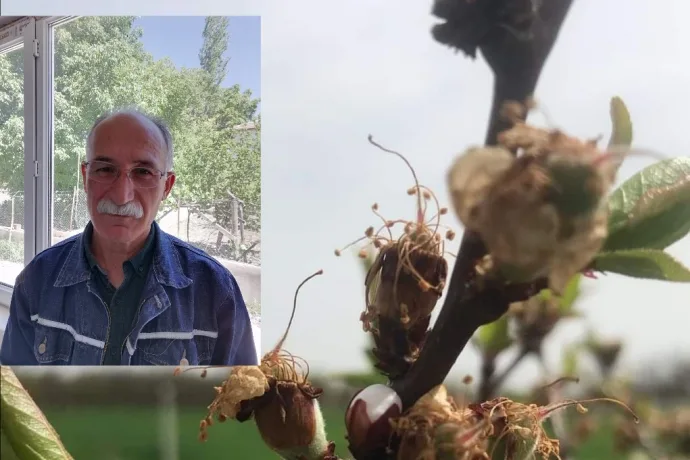TÜM KÖY SEN’DEN ACİL DESTEK ÇAĞRISI