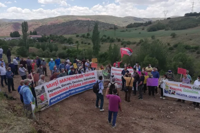 Doğa Katliamına Dur Diyeceğiz