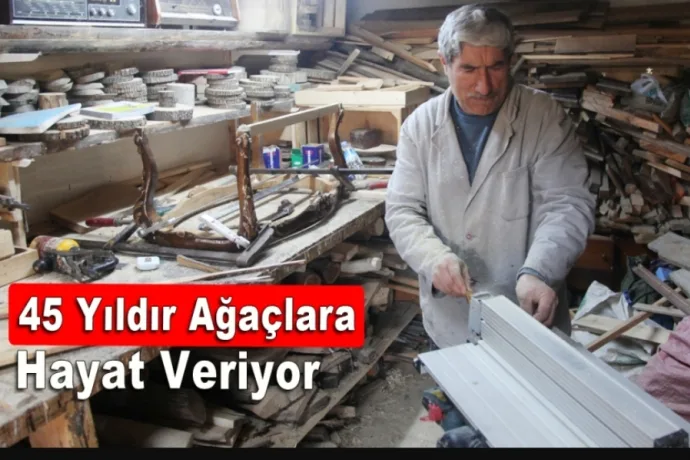 45 Yıldır Ağaçlara Hayat Veriyor