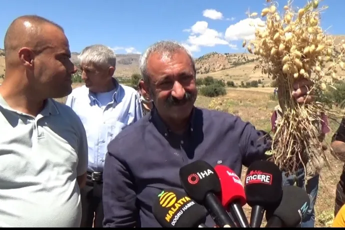 Komünist Başkan öncülüğünde Nohut hasadı başladı