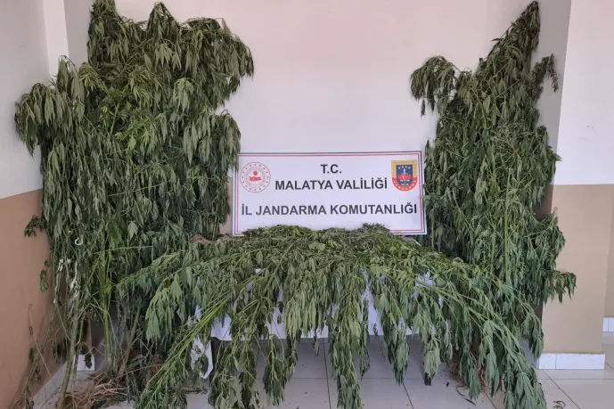 Jandarmadan Uyuşturucu Satıcılarına Darbe