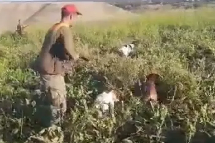 Bıldırcın Avladı 5 Bin 695 TL Ceza Yedi