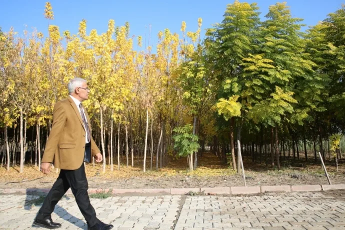 BAŞKAN GÜDER: “500 BİNİN ÜZERİNDE FİDANI İLÇEMİZLE BULUŞTURDUK”