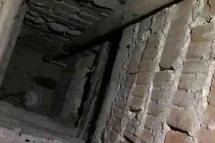 Havalandırma boşluğuna düşen kedi kurtarıldı