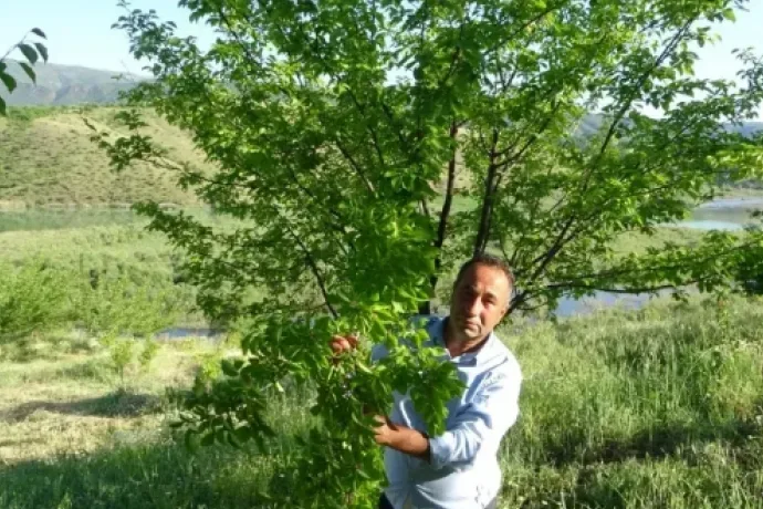 Pütürge Yaşanan Olay Görenleri Hayrete Düşürdü..