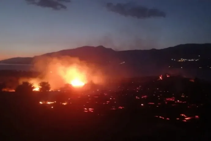 Malatya'da Sazlık Alanda Yangın Çıktı! 5 Dekar Kayısı Bahçesi Yandı