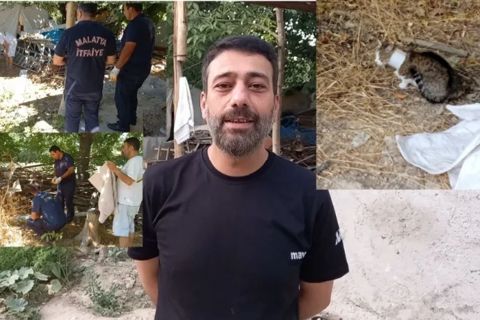 Levent Keleş: Sokak hayvanları doğanın bir parçası, yasayı geri çekin