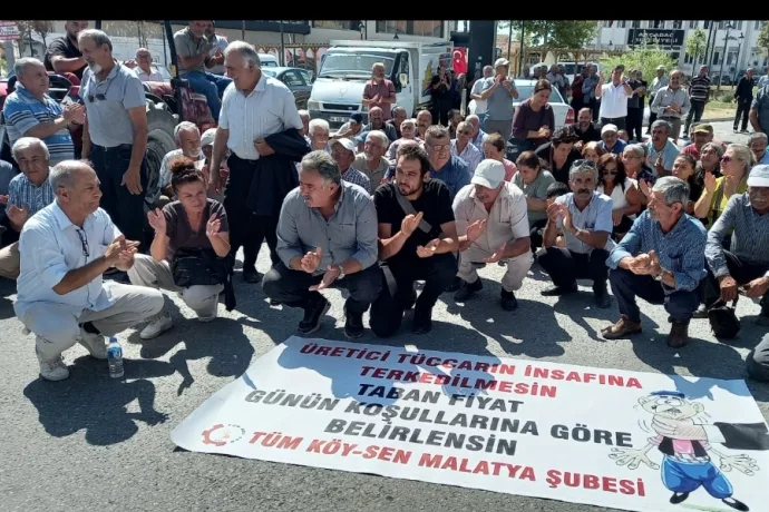 Akçadağ’da kayısı çiftçisi TMO'ya isyan etti!