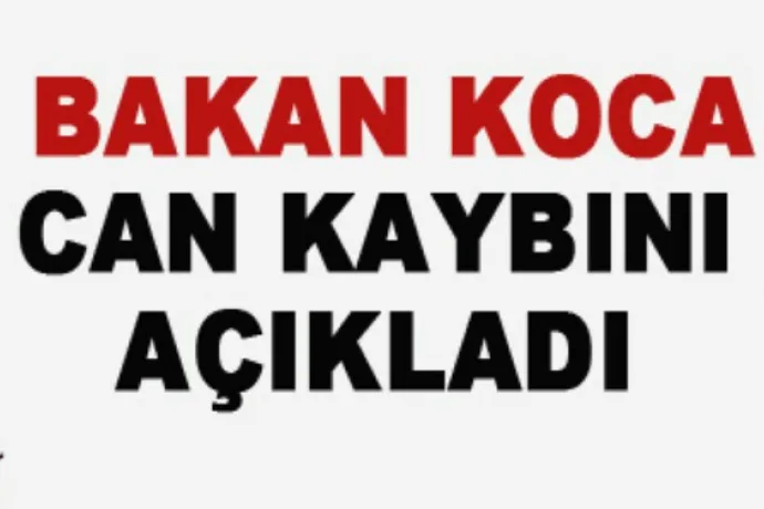 Ölenlerin sayısı 501 e yükseldi