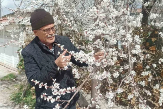 Malatya’da kayısı üreticileri zirai don tehlikesiyle karşı karşıya