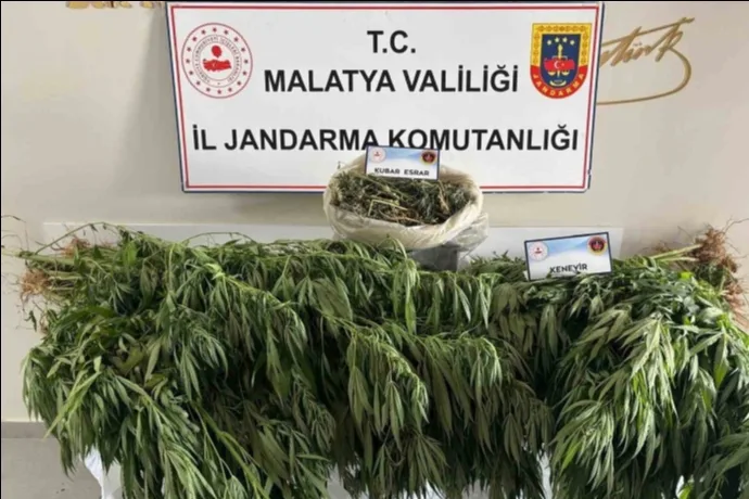 Dilek,de jandarmadan uyuşturucu operasyonu