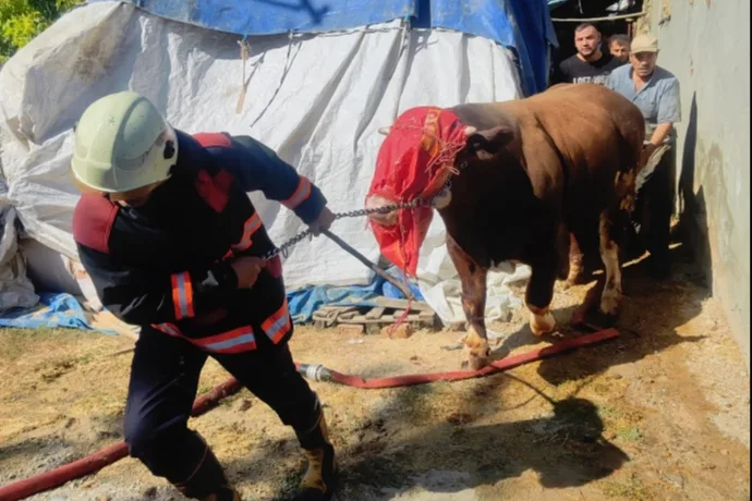 Battalgazi’de Ahır Yangını: 8 Büyükbaş Kurtarıldı
