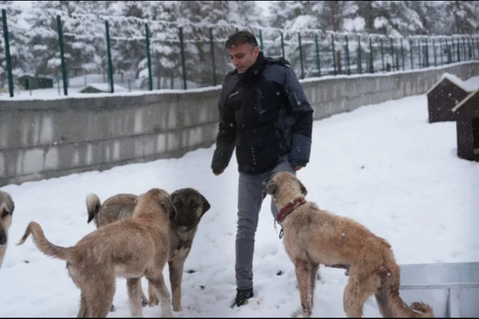 BATTALGAZİ’DE MALATYA’NIN İKİNCİ HAYVAN BARINAĞI HİZMETE BAŞLADI