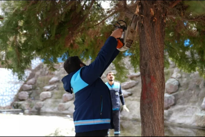 BATTALGAZİ’DE YEŞİL ALANLARDA KAPSAMLI ÇALIŞMA