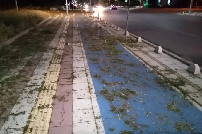 Çilesiz Caddesi Mazi Yürüyüş Yolunun İçler Acısı Hali
