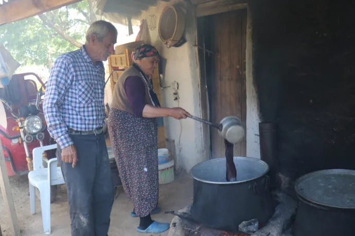 Şifa deposu karadutta hasat mevsimi