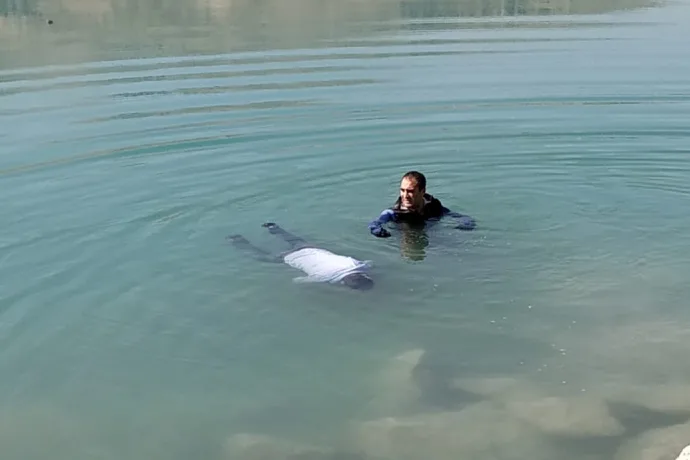 Malatya’da Orduzu Pınarbaşı Göleti’nde bir erkek cesedi bulundu.VİDEO