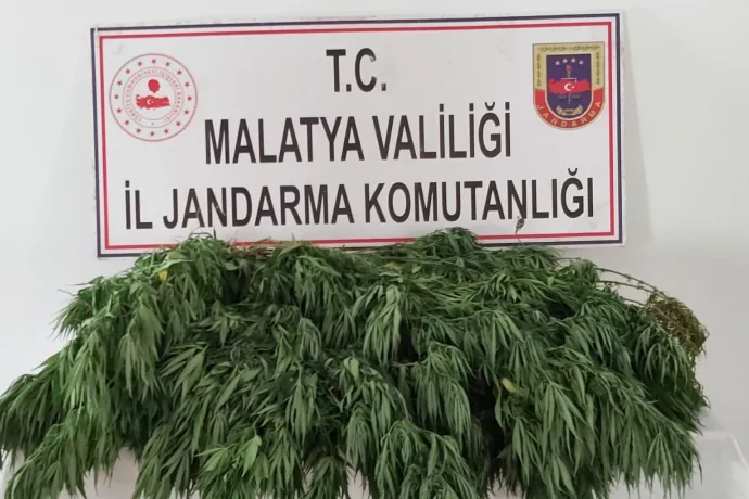 Hazine arazisine kenevir ekince yakayı ele verdi
