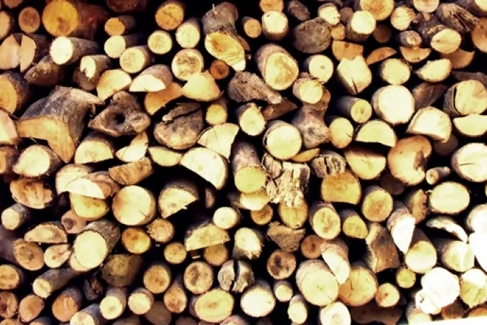 9 Ton Odun Çalan 2 Şüpheli Gözaltına Alındı