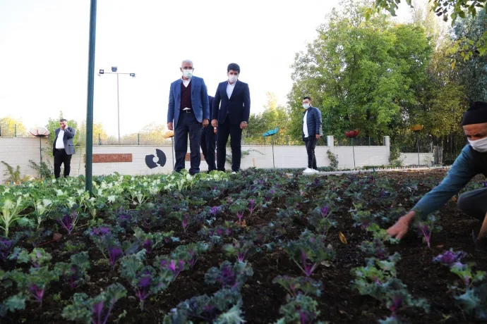 Battalgazi'ye 25 bin kök süs bitkisi dikiliyor