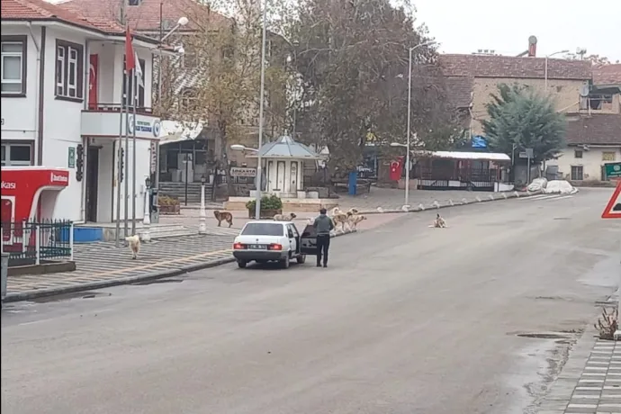 Dilekli Sakinler: Keşke Büyükşehir Olmasaydık video